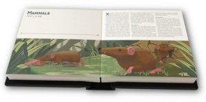 Illustration: Mammals